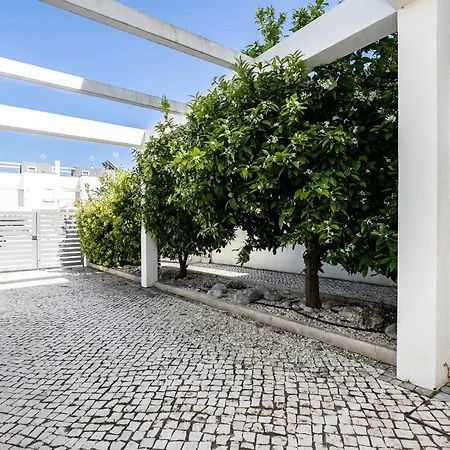 Da Barca By Algarvemanta *